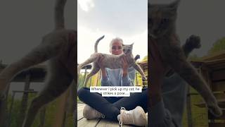 #cat #cute #catvideo #cutecat #funnyvideo