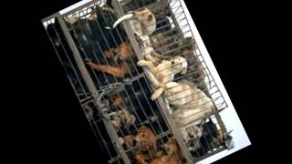 FINO ALL'ULTIMO MINUTO... - MARCO MASINI... (2011-2015)... By AngieMaso