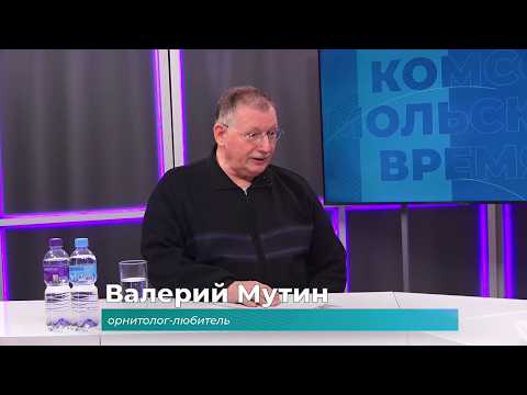 (19.02.2026) Гость студии Валерий Мутин о любительском наблюдении за птицами
