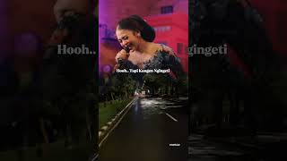 Download lagu Denny Caknan ft Niken Salindry - Sigar #dennycaknan #nikensalindri #lagujawa #dcproduction mp3 Download lagu Denny Caknan ft Niken Salindry - Sigar #dennycaknan #nikensalindri #lagujawa #dcproduction mp3