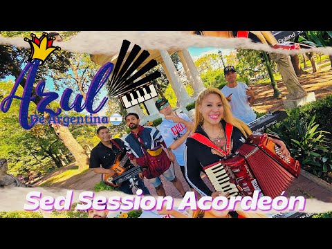 Sed Session Acordeón Azul