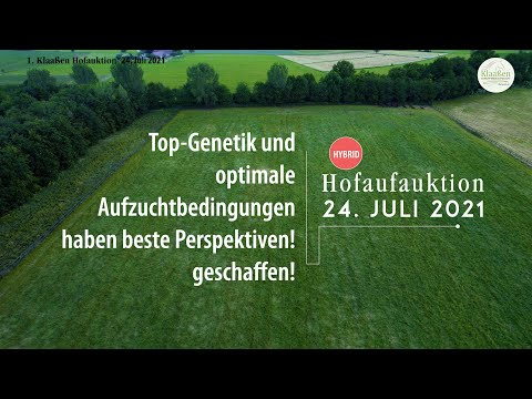 Trailer 1. Hofauktion Klaassen Jungpferdeaufzucht 24. Juli 2021