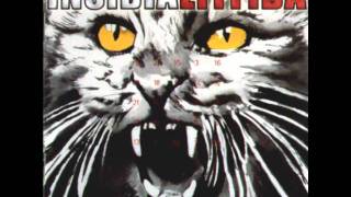 litfiba-cuore di vetro