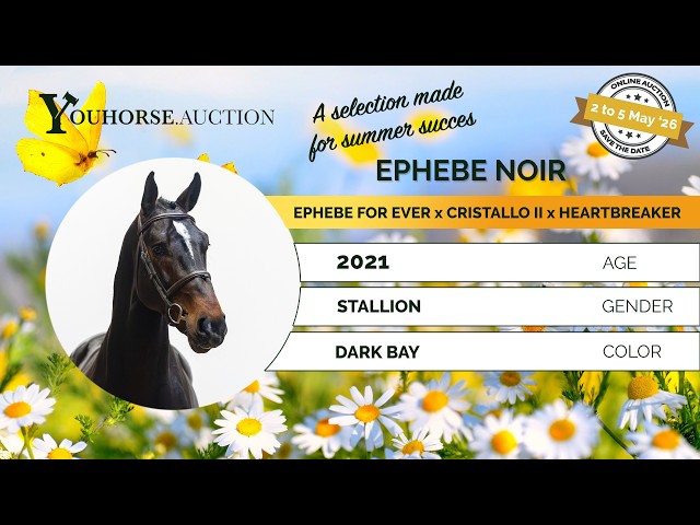 Ephebe Noir