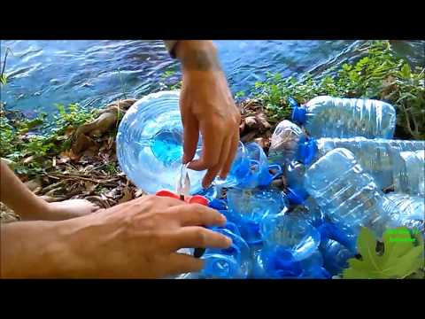 How to make fish traps with plastic bottles for food or making aquaponic systems, learn from nature Video