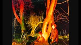 Echo and the Bunnymen -  Crocodiles