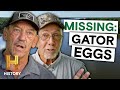 Why Are Alligators Vanishing From The Swamp Swamp Mysteries Season 3