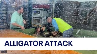 Alligator attacks handler at child’s birthday party in Utah