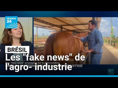 Brésil : les "fake news" de l'agro-industrie • FRANCE 24