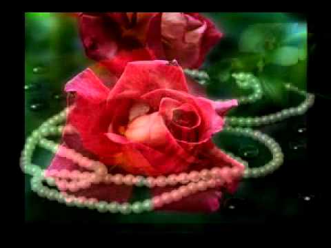 Matthew Ward, Since I Find You (lyrics)