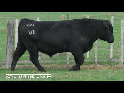 Lot 17  SEVEN HILLS V24 PV