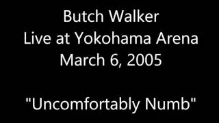 Butch Walker Live [Audio] &quot;Uncomfortably Numb&quot; at Yokohama Arena (March 6, 2005)