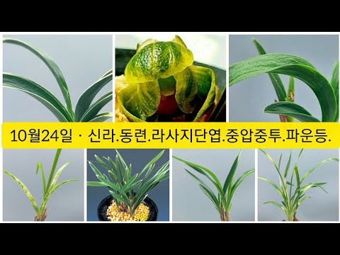 유튜브 썸네일