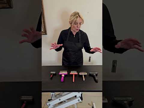 Confused about Slicker Brushes?  Let's go over the options! #dogcare #doggroomingtools #dog