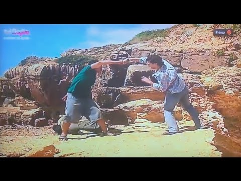 Morangos com Açucar: Pipo's Bizarre Adventure