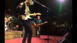 8   Camel&#39;s Night Out