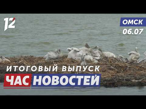 Пеликаны / Рейд по диким пляжам / Новички Авангарда. Новости Омска