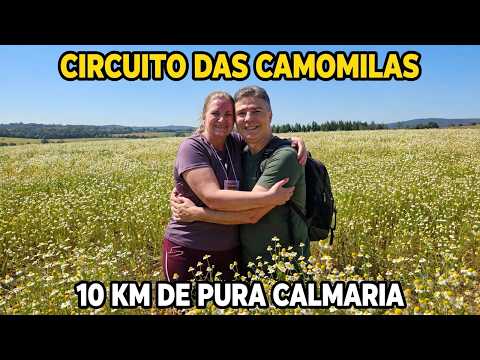 Caminhada Circuito das Camomilas  - Mandirituba/PR - Capital da Camomila.