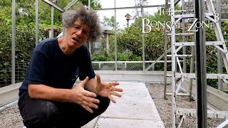 Download Lagu Preparing for the Greenhouse Glazing, The Bonsai Zone, Sept 2021 Thumbnail