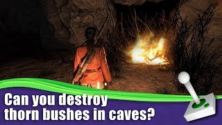 How to destroy thorn bushes in caves - Rise of the Tomb Raider