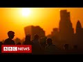 Catastrophic climate change outcomes like human extinction ‘not being taken seriously' - BBC News