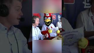Buddy the Elf vibes from Fredbird ????