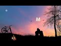 Animal Movie Evarevaro Naakedhurainaa Song Lyrics Whatsapp Status Do Follow For More