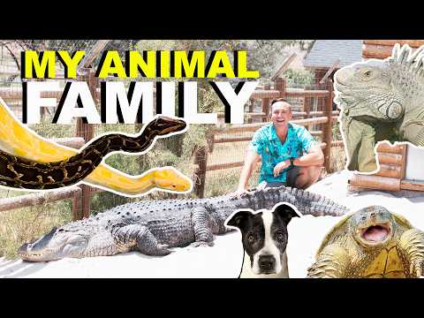 Meet All My Animals! (Full Animal Tour)