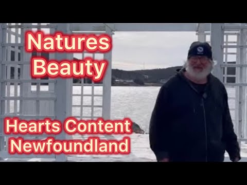 Heart's Content Adventure: Solo Van Life in Newfoundland.