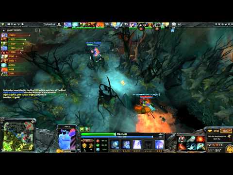 Dignitas.Fogged Puck Aegis Steal