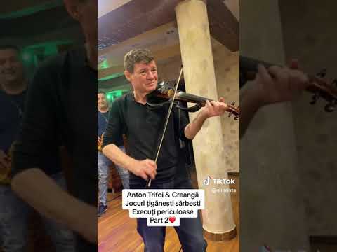 Anton trifoi & creanga - jocuri țigănești sârbești