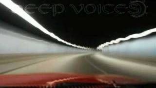 Deep Voices feat. Torsten Verlinden - Another Day ( Baltes &amp; Reville Repimp )