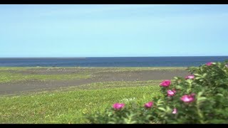 北海道を旅する！至極の旅ゲー、風雨来記実況！！Part12
