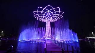 Roberto Cacciapaglia - Tree of Life Suite - VI. Wild Side