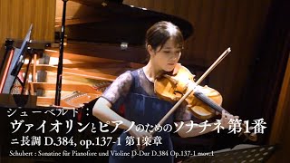 Download lagu まるで歌詞のない歌曲【シューベルト / ヴァイオリンとピアノのためのソナチネ 第1番 第1楽章 Schubert / Sonatine  D-Dur D.384 Op.137-1】 mp3