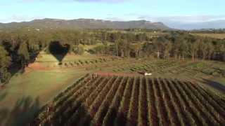 preview picture of video 'Balloons Aloft over The Hunter Valley'
