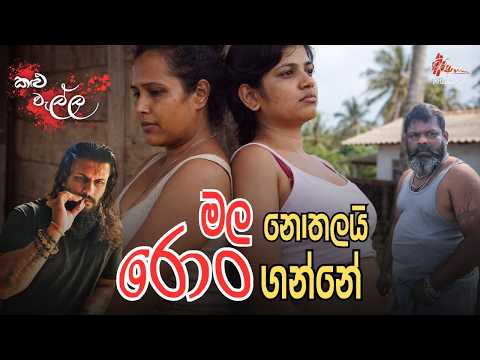 මල නොතලා රොන් ගන්න.. කළු වැල්ලේ කළු බඹරු.