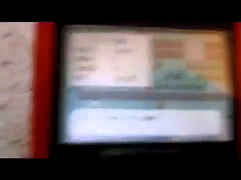 Boy Flips over Shiny Ponyta