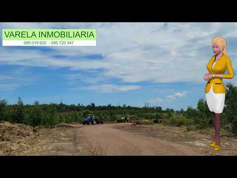 Video de YouTube - Chacra en Venta  en La Floresta, Canelones