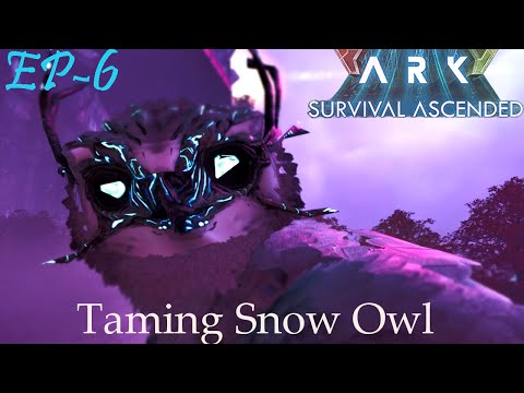 Ark Ascended Extinction Taming Snow Owl