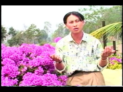 MAIM LIS DAIM DAIM NKAJ 7 KHO SIAB HEEV.DVD 001622 0