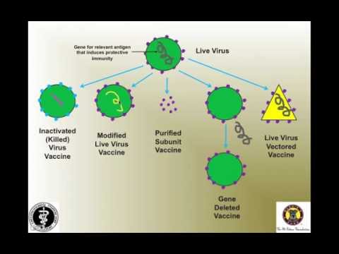 Chapter 2 - Vaccine Protocols for Shelter Dogs - What is the Latest Evidence