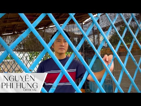 Thương lại càng thương - Nguyễn Phi Hùng