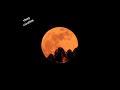 Chaudavin Ka Chand Ho Tum Whatsapp Status