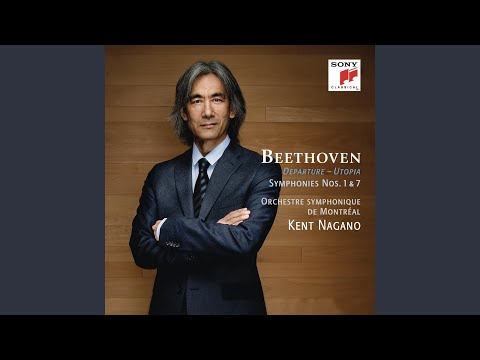 Symphony No. 1 in C Major, Op. 21: IV. Adagio - Allegro molto