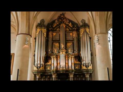 Wim van Beek - Improvisatie over 'Voor alle Heiligen' (lied 727) (For all the Saints)