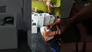 Download lagu proses packing ikan cupang stay tone ig intropeksibetta #packing #ikancupang #betta #cupang mp3 Download lagu proses packing ikan cupang stay tone ig intropeksibetta #packing #ikancupang #betta #cupang mp3