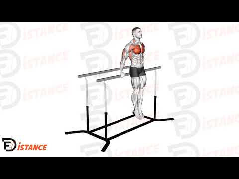 Exercice Dips coréens