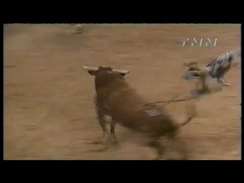 Download bucks Pacen Thygerson - 99 PBR Finals