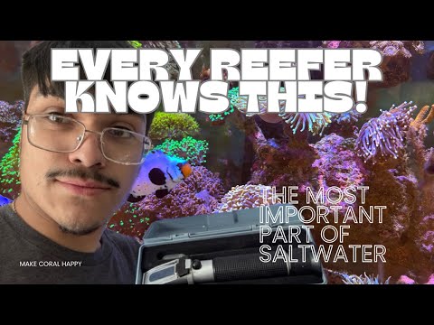 How to PROPERLY test salinity in your saltwater aquarium!